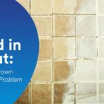 3 Steps To Knock Down Your Mold Problem