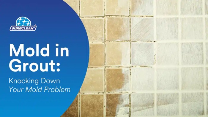 3 Steps To Knock Down Your Mold Problem